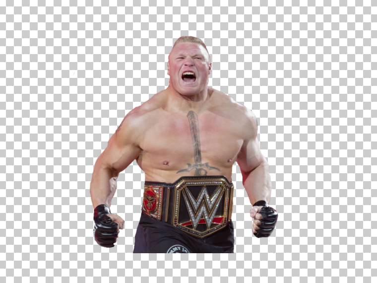 Brock Lesnar摔跤手透明免费PNG