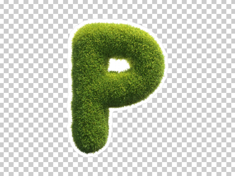 字母P PNG