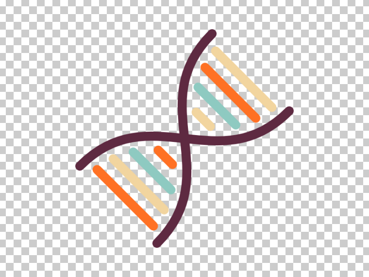 DNA PNG