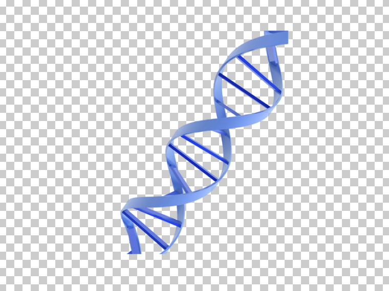 DNA PNG