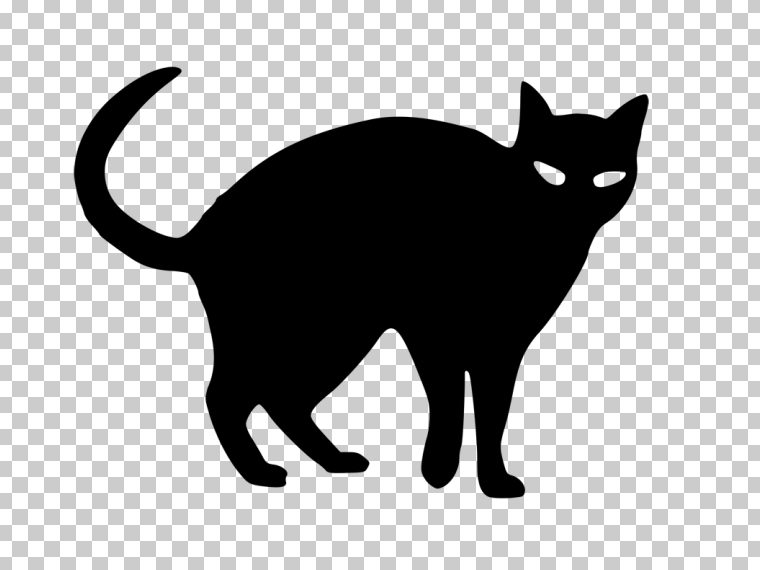 万圣节黑猫PNG透明背景图片