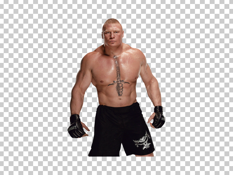 Brock-Lesnar透明图像