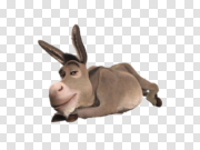Donkey PNG images 驴子PNG图像 PNG图片