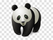 Panda 熊猫 PNG图片