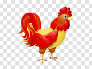 Cock 公鸡 PNG图片