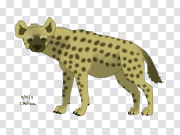 Hyena 土狼 PNG图片