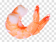 Shrimp 小虾 PNG图片