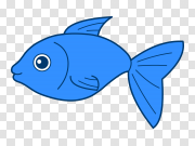 Fish 鱼 PNG图片