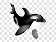 Whale 鲸鱼 PNG图片