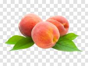 Peach, free pngs 桃子，免费PNG PNG图片