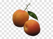 Peach, free pngs 桃子，免费PNG PNG图片