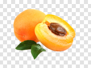 Apricot, free pngs 杏子，免费PNG PNG图片