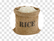 Rice, free PNGs 米饭，免费 PNG图片