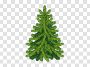 Fir tree, free PNGs 冷杉树，免费PNG PNG图片