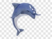 Dolphin Clipart Transparent PNG 海豚剪贴画透明PNG PNG图片