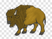 Buffalo Bison PNG 巴新野牛 PNG图片