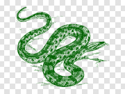 Anaconda Clipart PNG 水蟒剪贴画 PNG图片