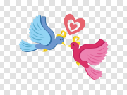 Love Birds Transparent Free PNG 爱鸟透明免费PNG PNG图片