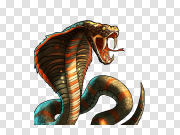 Cobra Snake Scary PNG 眼镜蛇 PNG图片