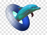 Dolphin Moving Transparent PNG 海豚移动透明PNG PNG图片