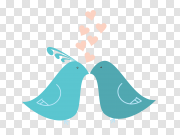 Love Birds Transparent Image 爱鸟透明图片 PNG图片