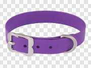 Leather Purple Dog Collar Transparent PNG 皮革紫色狗项圈透明PNG PNG图片