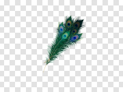 Feather Background PNG Image 羽毛背景PNG图像 PNG图片