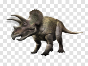 Dinosaur Free PNG 无恐龙PNG PNG图片