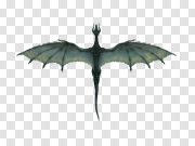 Flying Dragon Transparent Image 飞龙透明图像 PNG图片