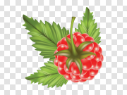  树莓无背景PNG图片 Raspberry No Background 