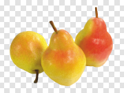 Pear Transparent Background 梨透明背景 PNG图片