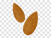 Long Almond Transparent PNG 长杏仁透明PNG PNG图片