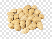 Almonds PNG Royalty-Free Image 杏仁PNG免版税图片 PNG图片