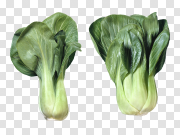 Salad PNG Photos 沙拉PNG照片 PNG图片