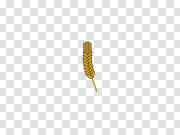 Barley Transparent Images 大麦透明图像 PNG图片