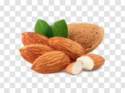 Almond Broken PNG 杏仁碎 PNG图片