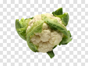 Vegetable Transparent Background 植物透明背景 PNG图片