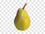 Shining Asian Pear Transparent PNG 闪亮亚洲梨 PNG图片