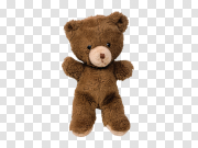 Teddy Bear Transparent Image 泰迪熊透明图像 PNG图片