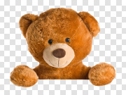 Teddy Bear Transparent Background 泰迪熊透明背景 PNG图片