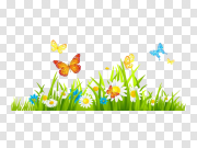 Spring Leaves PNG HD Quality 弹簧片质量 PNG图片