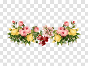 Floral Flowers Transparent File 花卉透明锉刀 PNG图片