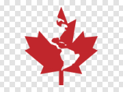 Canada Leaf PNG Images HD 加拿大叶PNG图像高清 PNG图片