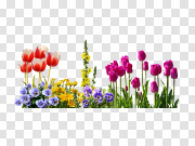 Spring PNG Clipart Background 弹簧剪贴画背景 PNG图片