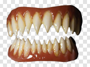 Teeth Transparent Background 牙齿透明背景 PNG图片