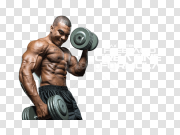 Bodybuilding Download Free PNG 健美下载免费PNG PNG图片