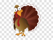 Turkey bird PNG 火鸡鸟PNG PNG图片