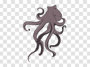 Octopus PNG 八达通PNG PNG图片