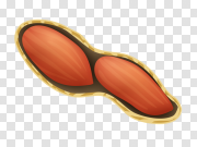 Peanut PNG 花生PNG PNG图片