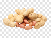 Peanut PNG 花生PNG PNG图片